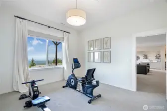 Bedroom suite on lower level