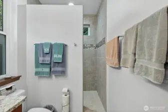 Walk-in shower