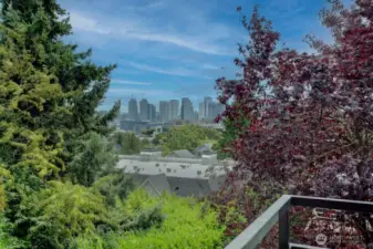 The view from the condo deck.