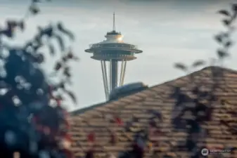 Yes, the Space Needle is visible from the condo.