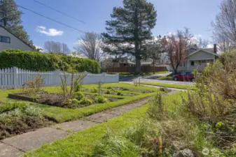 Looking toward the southeast across the front lawn and garden beds.