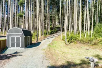 Large tuff shed to put away the water toys.