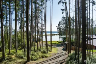 Lightly treed for privacy natural landscape