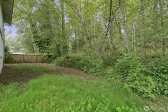 Back yard extends beyond the brush