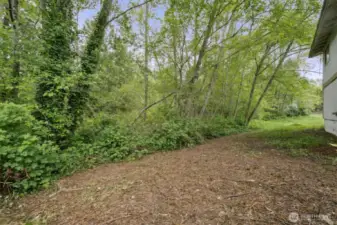 Another angle of back yard - cleared a bit, ready for your imagination - .44 acre lot goes beyond the brush and trees.