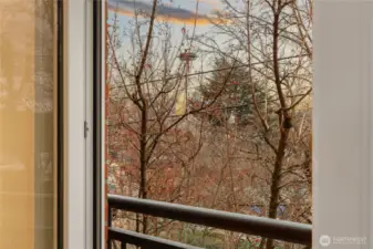 Seasonal Space Needle views.