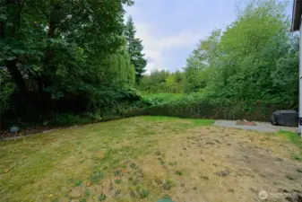 Lots of space to play in this private and fully fenced-in yard.