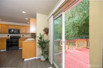 Sliding door to the large back deck.