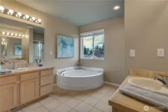 Primary bathroom
