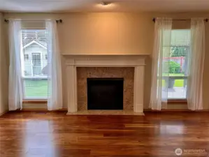 Family room gas fireplace with views out to the backyard (facing south)