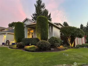 Exterior lighting highlights the water fountain, bushes and tree in the front yard