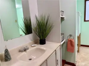 Bath with walk in shower