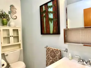 Second bathroom with shower.