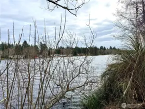 All kinds of wildlife, especially birds!