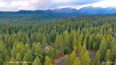 Aerial view of property