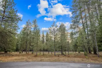 Street view of property