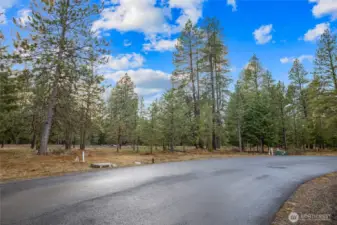 Street view of property