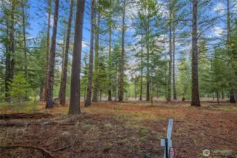 Back of property view of homesite