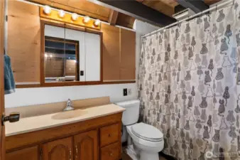 Main floor full bathroom.