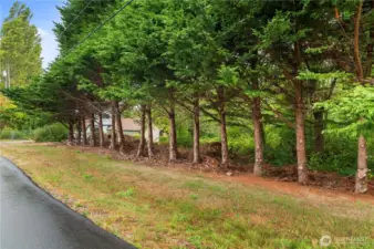 View of second parcel.