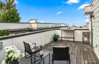 Roof deck - with view of Space Needle