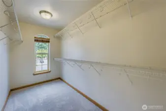 Walk-in closet and a second closet just across the hall with storage for clothes and more!