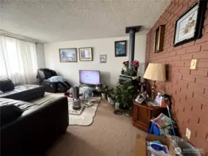 Please excuse cluster, elderly disabled seller will stay home (in 1 of bedroom downstairs) at all showing.