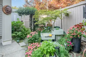 Tranquil fountain feature elevates the calm, relaxing atmosphere outside.