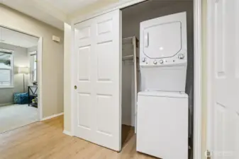 Storage and Utility Closet