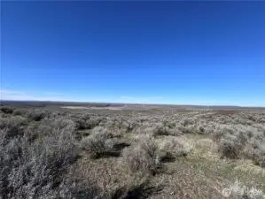 View from the top of the property