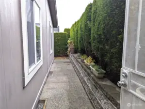 Another angle of side yard for dog run.
