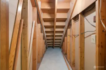 Downstairs Storage