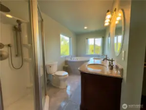 Primary full bath, walk in closet on right