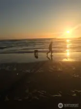 The sea is calling.