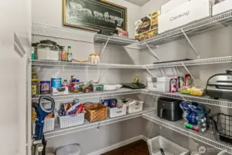 Huge walk-in pantry