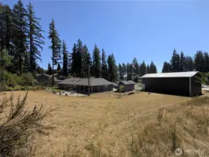 Rear section of part of the property. Th eproperty extends up the hill to the left of the photo. into teh trees & brush. 1.36 acres. #1250 Northcliff Rd, Shelton, WA 98584
