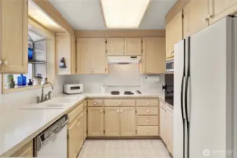 Kitchen with ample cabinet space & backyard views