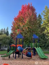 Lake of the Woods community playground.