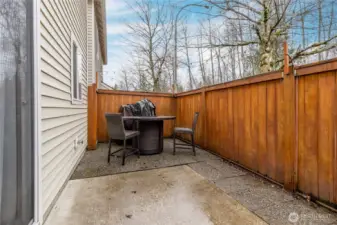 Table/fireplace & chairs stay with home!
