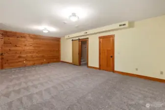 This is the large lower level family room. The closed door is an exit to the garage.