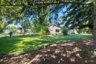 ~Corner of entire front & side spacious yard~