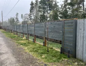 Fencing on east side of property with fruit trees and berry bushes. Note the open spacing for the dog run to keep track of your furry friend.  More informationally your furry frend keeping track of your.