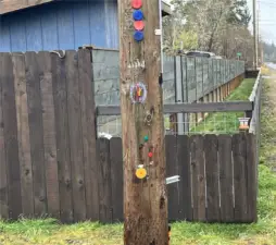 Double fenced to accommodate a dog run or for goats, as current owner was using it for.