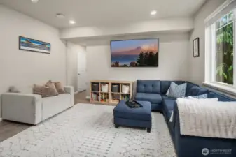 Family Room - Lower Level