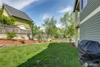 Side yard facing sidewalk, showing BBQ area.