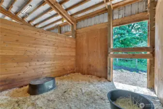Just one of the three horse stalls