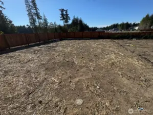 large backyard