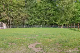 side pasture #3