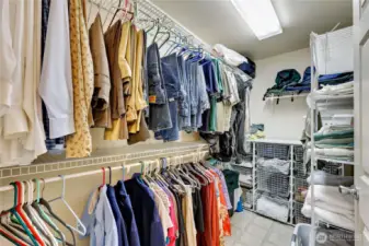 Primary bedroom with walk in closet