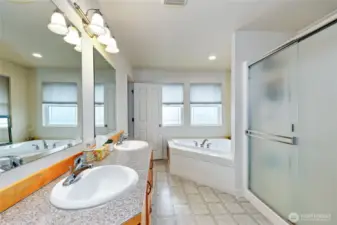 Primary bathroom with double sinks